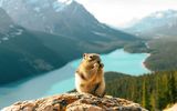 Peyto Lake_ Banff National Park
