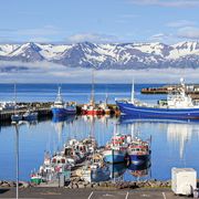 Der malerische Hafen von Akureyri - Island