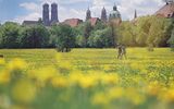 München