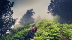 Anaga Wanderung