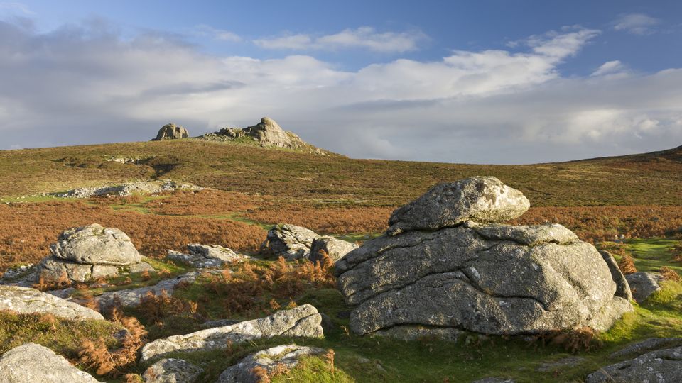 Hochmoor in der Nähe von Haytor