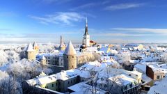 Panoramablick auf die Altstadt von Tallinn und die St. Olafs Kirche mit Festungstürmen