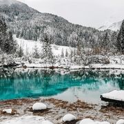 Zelenci Quelle