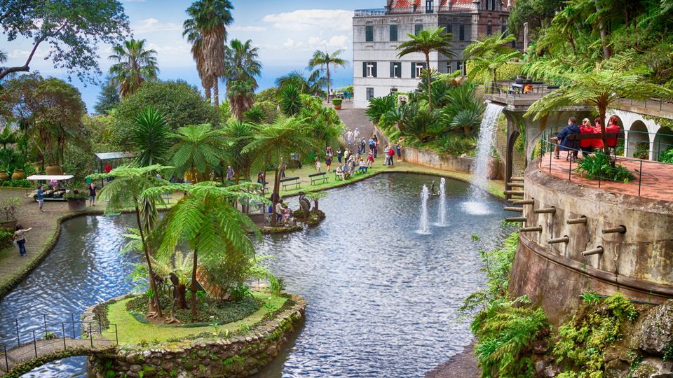 Tropical Garden, Monte Palace