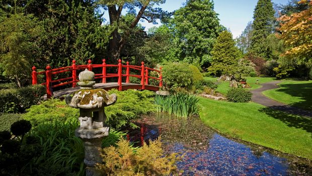Japanischer Garten, Kildare