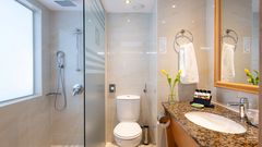 Modernes Badezimmer mit ebenerdiger Dusche, WC und großem Waschtisch mit Granitplatte.