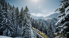 Wengernalpbahn