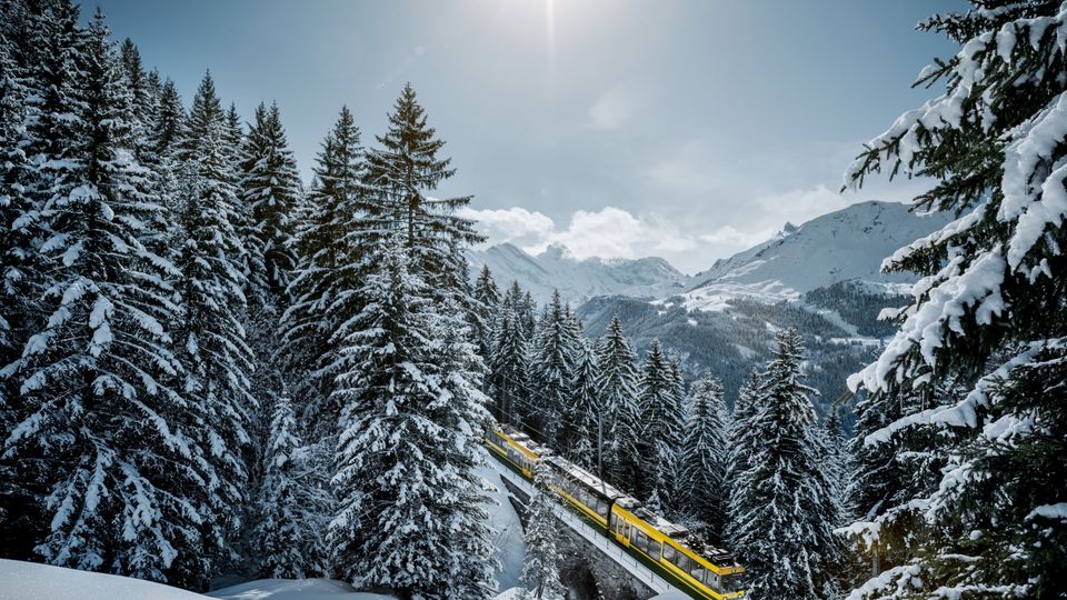 Wengernalpbahn