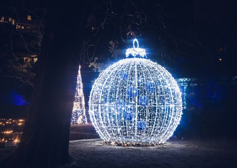 Lichtinstallation im botanischen Garten Madrid