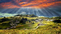 Landschaft in Hualien mit Taglilien