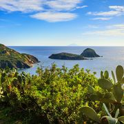 Wanderweg bei Capoliveri mit Blick auf die Cala dellInnamorata