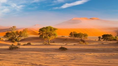 Namib Wüste