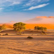 Namib Wüste