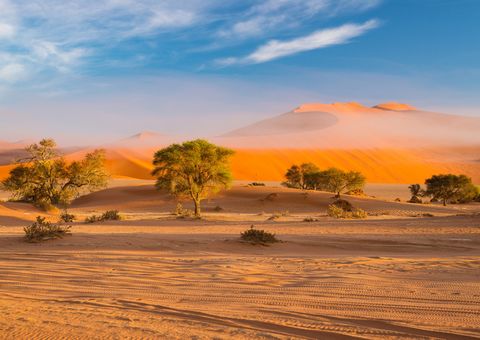 Namib Wüste