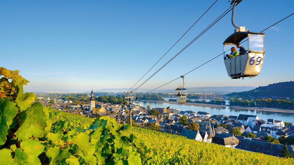 Weinberge in Rüdesheim am Rhein