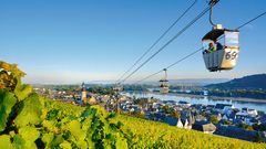 Weinberge in Rüdesheim am Rhein
