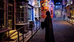 Visitor in Diagon Alley All characters and elements