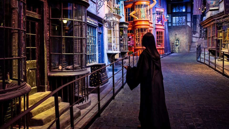 Visitor in Diagon Alley All characters and elements