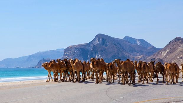Salalah