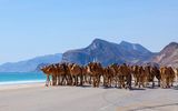 Salalah