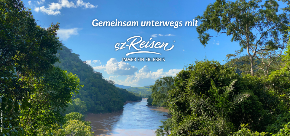 Blog-Banner 1