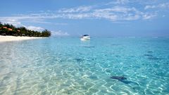 Angeln im flachen Wasser