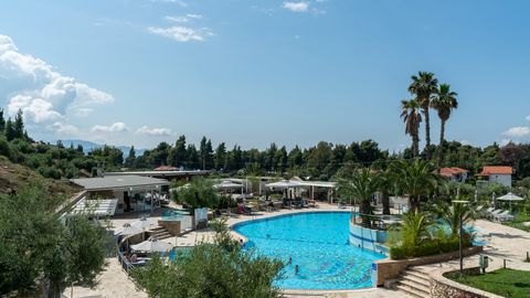 Moderner Hotelpoolbereich mit großer, geschwungener Poolanlage, umgeben von Sonnenliegen, Palmen und mediterraner Vegetation – im Hintergrund flache Gebäude, Pinien und blauer Himmel.