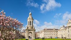 Trinity College in Dublin