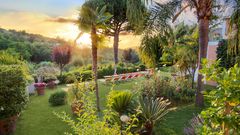 Sonnenuntergang in der Gartenanlage vom Hotel Terme la Pergola auf Ischia, Italien