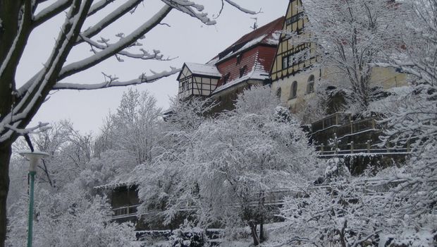 Winterimpressionen in Plauen