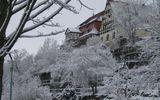 Winterimpressionen in Plauen