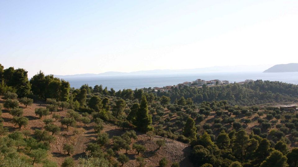Parthenonas Landschaft
