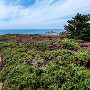 Wanderweg zum Corbière Lighthouse ©Emel, AdobeStock Wanderweg zum Corbière Lighthouse