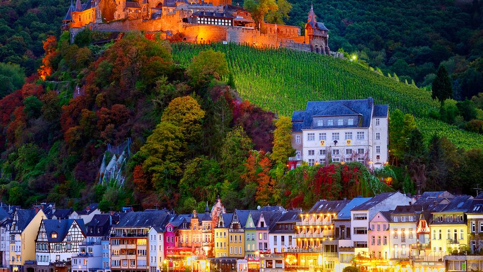 Cochem-Zell, Reichsburg Cochem mit Weinhang an der Mosel