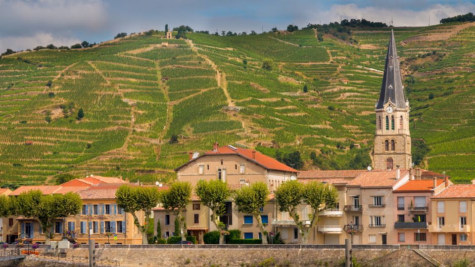 Tournon sur Rhone
