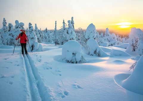 Langlauf in Lappland