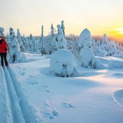 Langlauf in Lappland ©citikka, AdobeStock Langlauf in Lappland