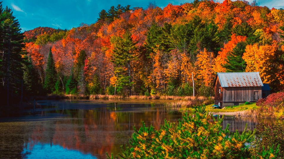 Ontario Herbst