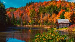 Ontario Herbst