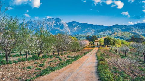 Aktivreisen mit sz-Reisen | Wandern auf Mallorca