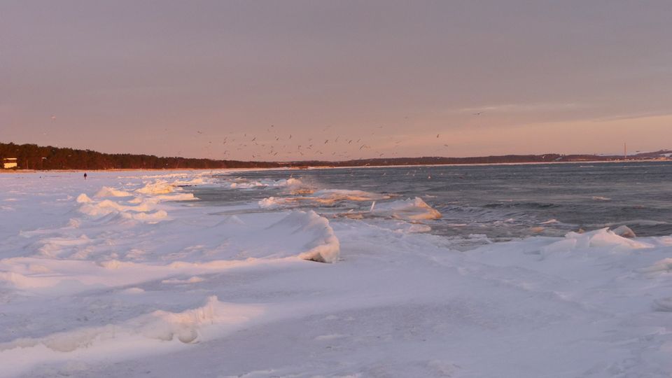Winter am Strand