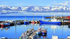Der malerische Hafen von Akureyri - Island