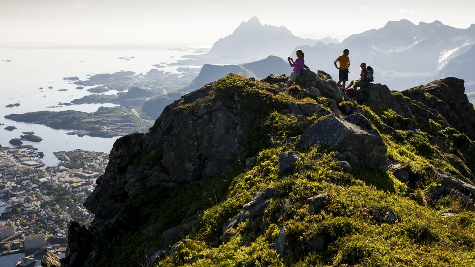 Berge und Pflanzenwelt auf den Lofoten