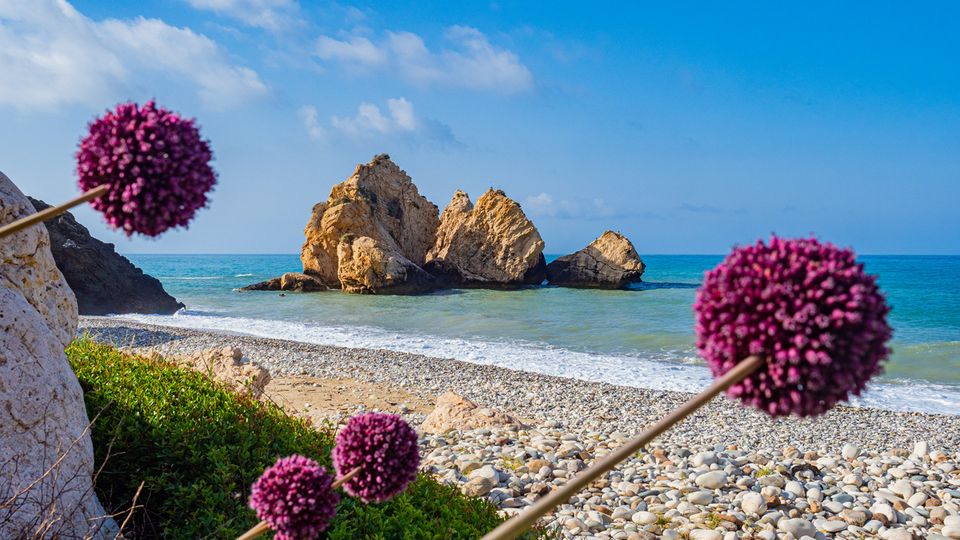 Zypern, Aphrodite-Felsen und Blumen ©Grispb, AdobeStock Zypern, Aphrodite-Felsen und Blumen