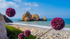 Zypern, Aphrodite-Felsen und Blumen ©Grispb, AdobeStock Zypern, Aphrodite-Felsen und Blumen