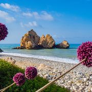 Zypern, Aphrodite-Felsen und Blumen