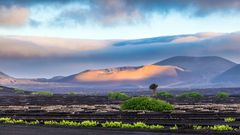 Stimmungsvolle Insel Lanzarote