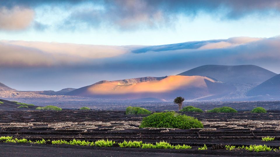 Stimmungsvolle Insel Lanzarote