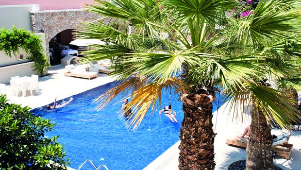 Rose Bay Hotel - Pool
