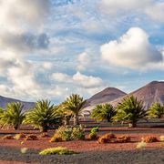 Vulkanberge auf Lanzarote ©Balate Dorin, AdobeStock Vulkanberge auf Lanzarote